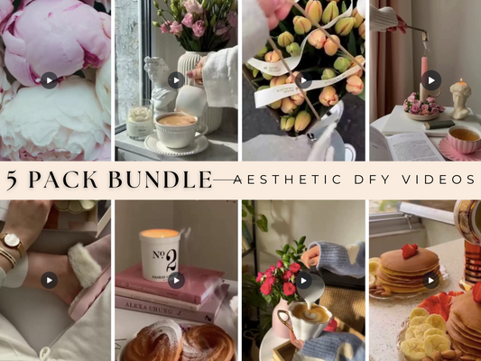 5 PACK BUNDLE - 1,100+ Aesthetic DFY Videos